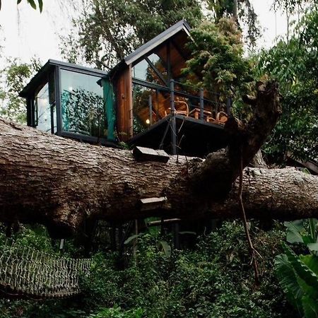 Vila Wilderness Treehouse Doi Saket Exteriér fotografie