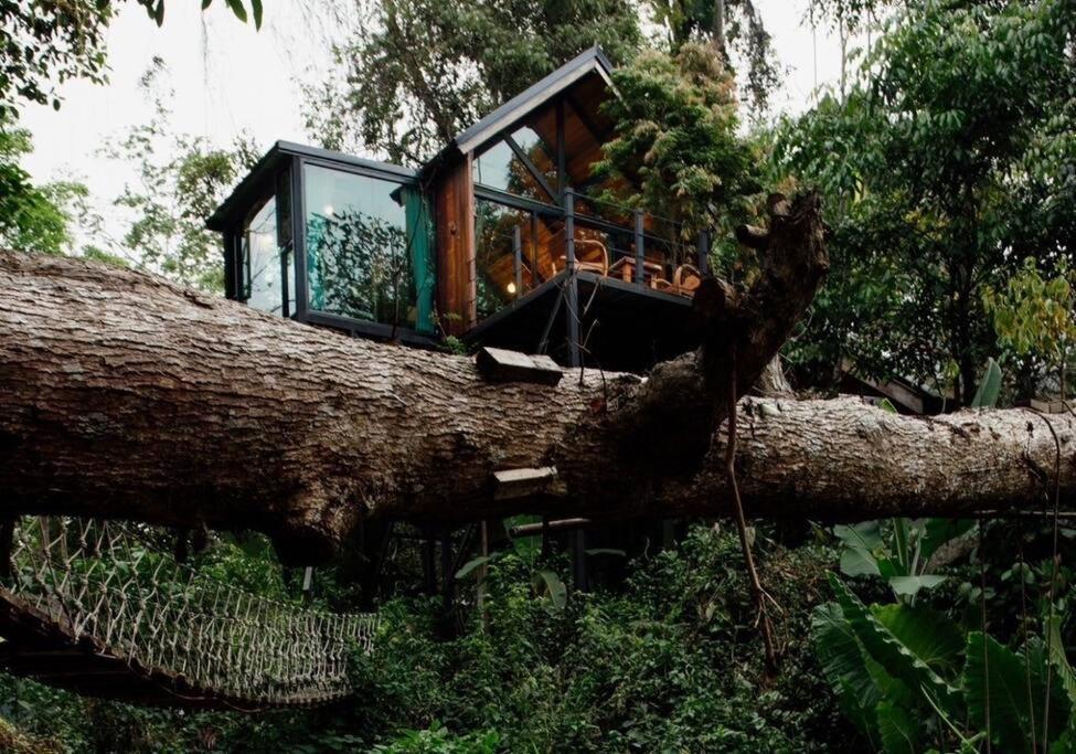 Vila Wilderness Treehouse Doi Saket Exteriér fotografie