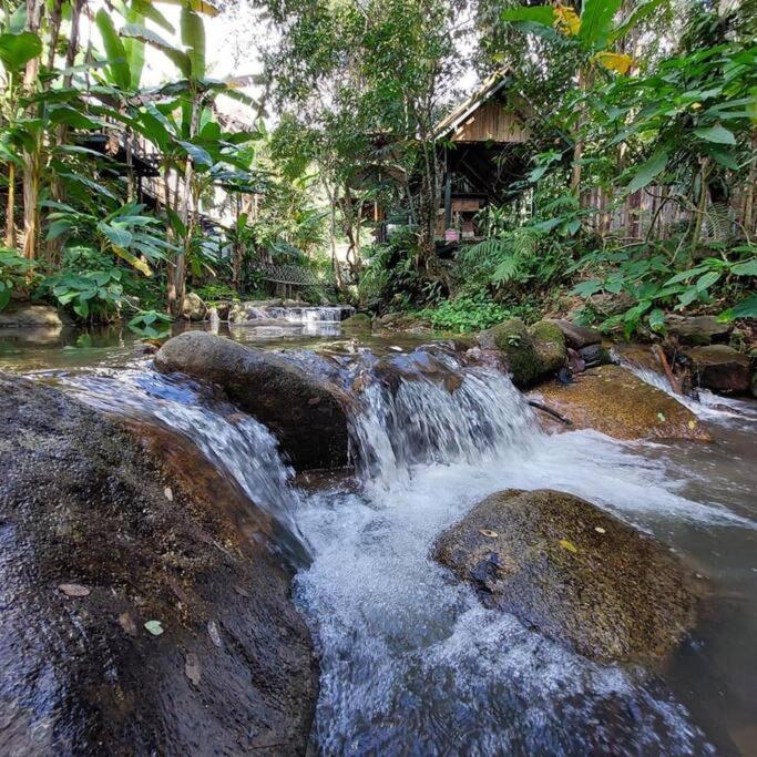 Vila Wilderness Treehouse Doi Saket Exteriér fotografie