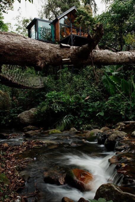 Vila Wilderness Treehouse Doi Saket Exteriér fotografie