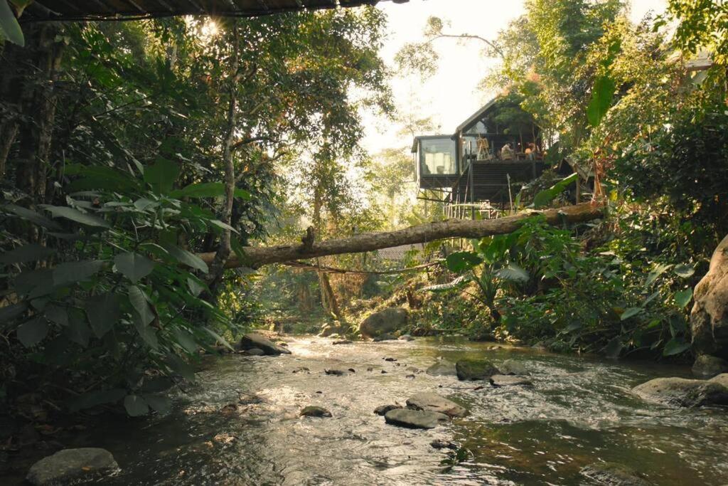Vila Wilderness Treehouse Doi Saket Exteriér fotografie
