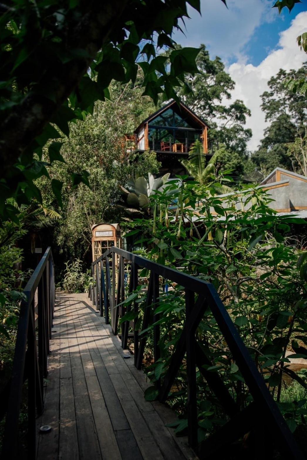 Vila Wilderness Treehouse Doi Saket Exteriér fotografie