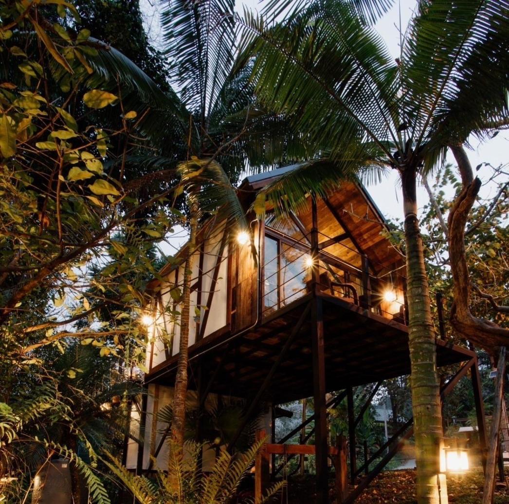 Vila Wilderness Treehouse Doi Saket Exteriér fotografie