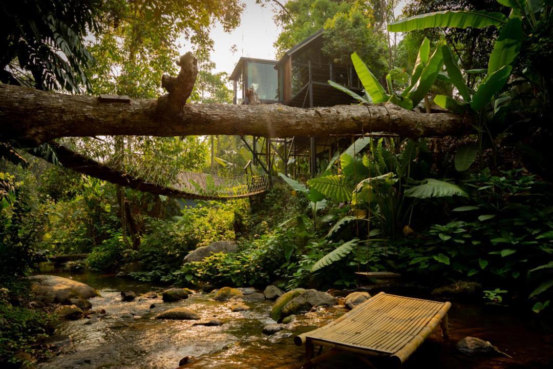 Vila Wilderness Treehouse Doi Saket Exteriér fotografie